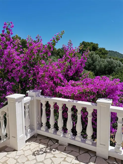 Ferienwohnung in Losinj  999207873 35882 – Foto 3