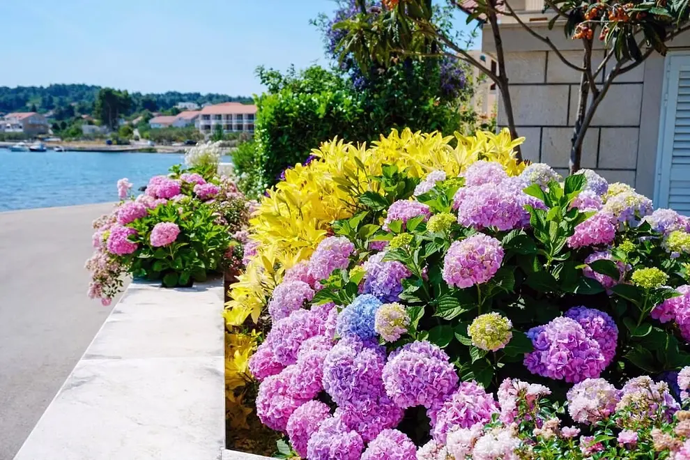Ferienwohnung in Korcula  999209301 37228 – Foto 4