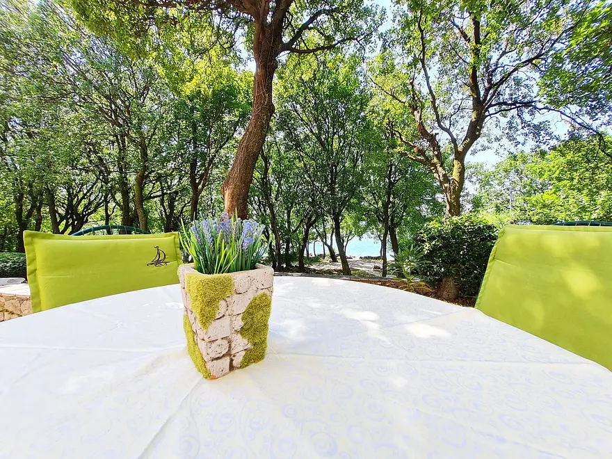 Ferienwohnung in Klenovica haustiergeeignet 66135778 19658