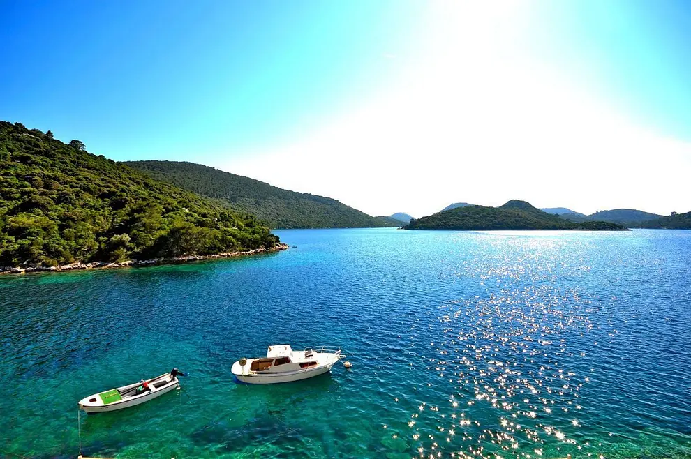 Ferienwohnung in Lastovo haustiergeeignet 66122736 10156