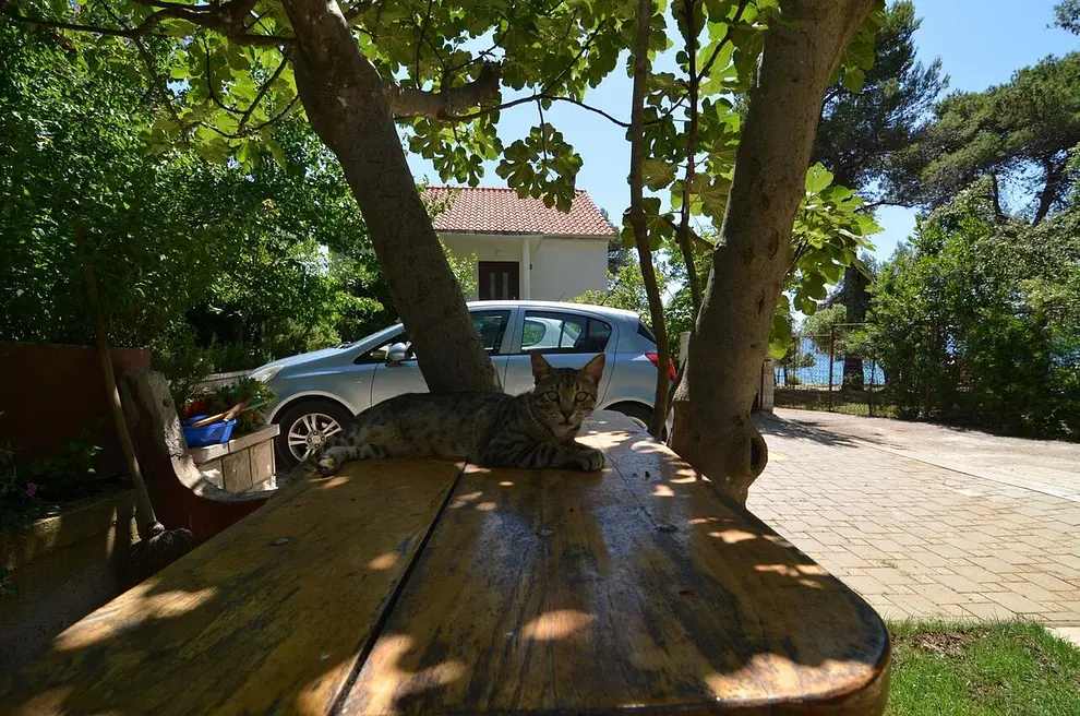 Ferienwohnung in Zadar  999209541 37462 – Foto 27