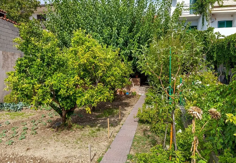 Ferienwohnung in Podstrana  999212366 40009 – Foto 24