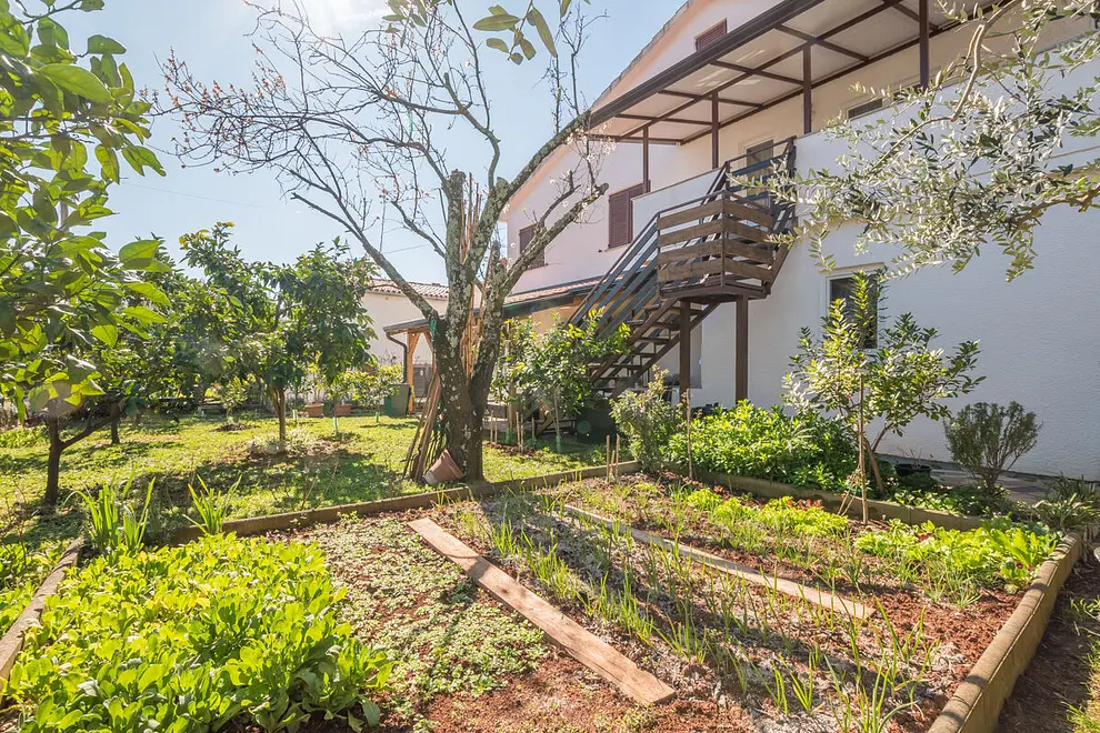 Ferienwohnung in Novigrad in Dalmatien  999209905 41209 – Foto 20