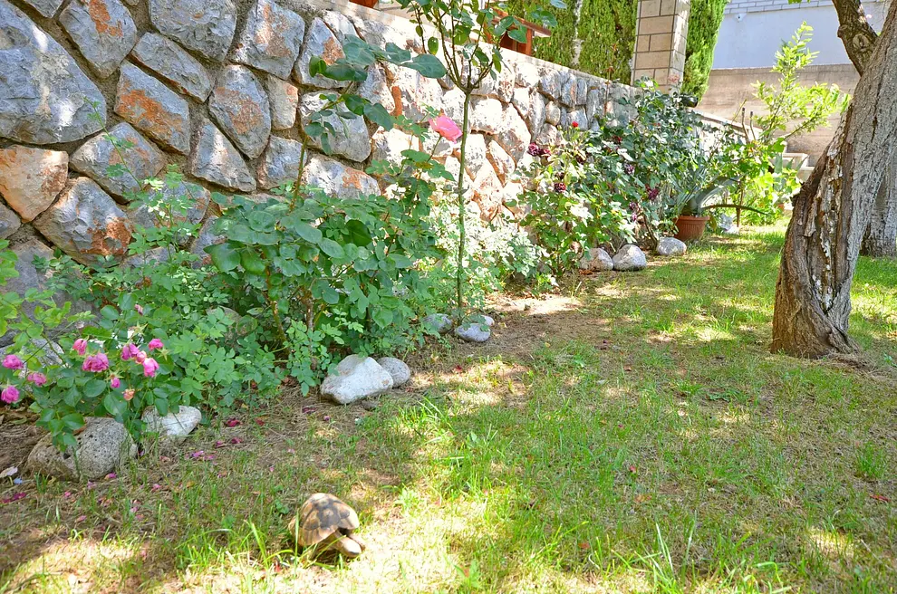 Ferienwohnung in Senj  999204509 32703 – Foto 22