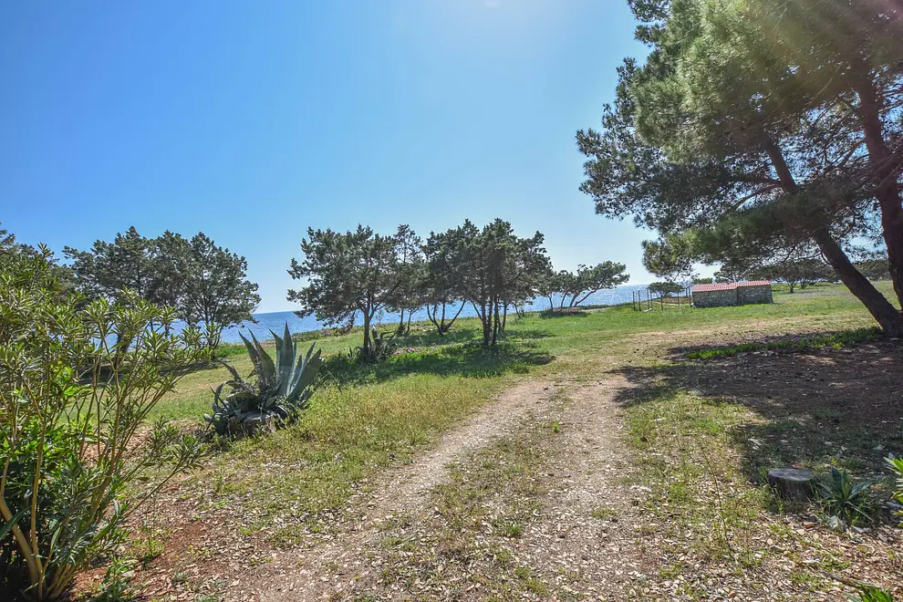 Ferienwohnung in Dugi Otok  999202562 30839 – Foto 21