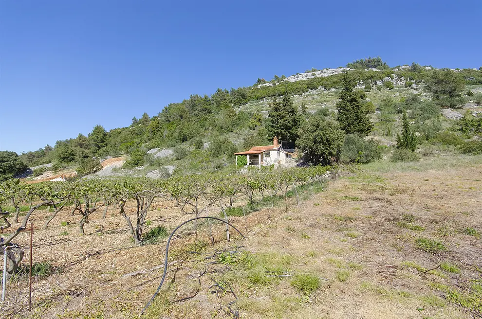 Ferienwohnung in Brac haustiergeeignet 999203098 31355 – Foto 11