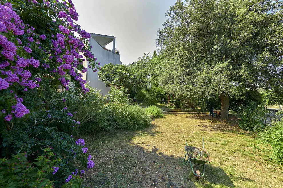 Ferienwohnung in Banjole  999203162 31418 – Foto 20
