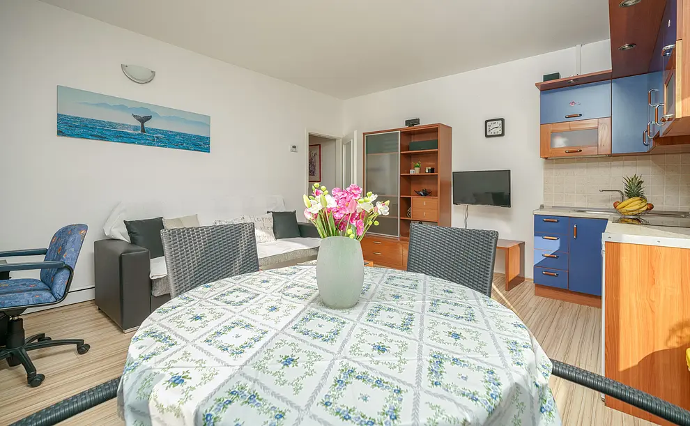 Ferienwohnung in Vodice  66114179 4711