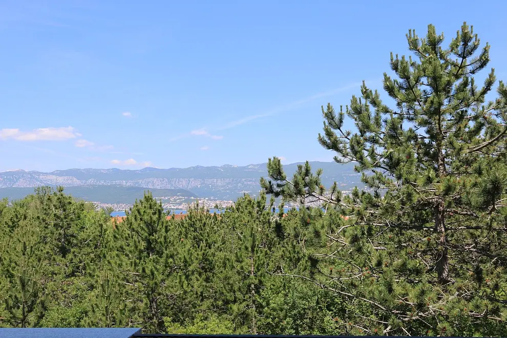 Ferienwohnung in Dobrinj haustiergeeignet 66118230 6722