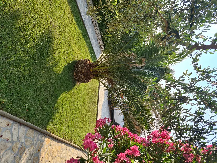 Ferienwohnung in Pag  999202605 30881 – Foto 4