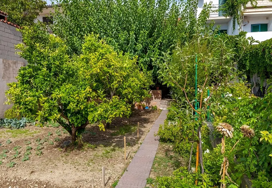 Ferienwohnung in Podstrana  999212366 40009 – Foto 22