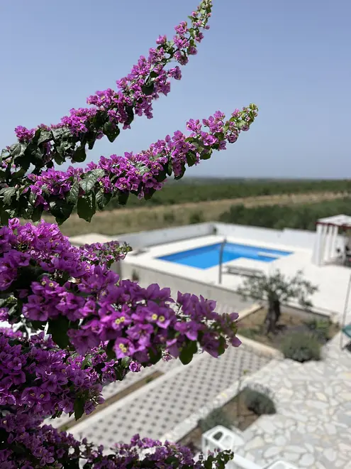 Ferienhaus in Benkovac mit Pool 999213514 40999 – Foto 21
