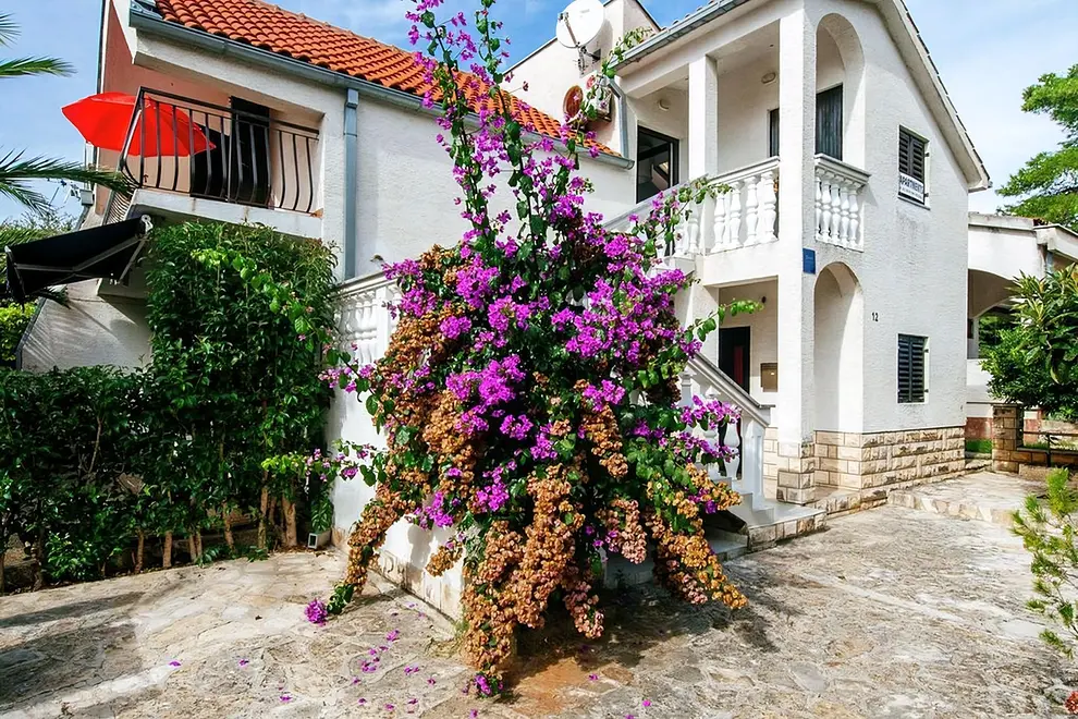 Ferienwohnung in Zadar  999203713 31945 – Foto 4