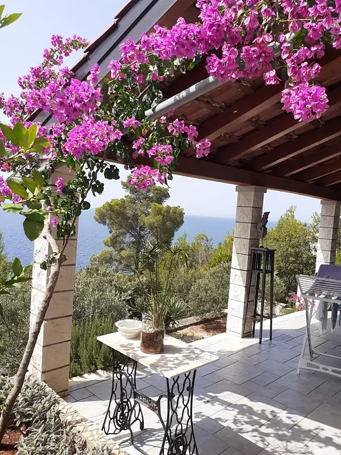 Ferienwohnung in Blato  6617901 2339