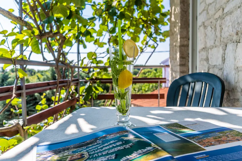 Ferienwohnung in Krnica haustiergeeignet 66152448 26332