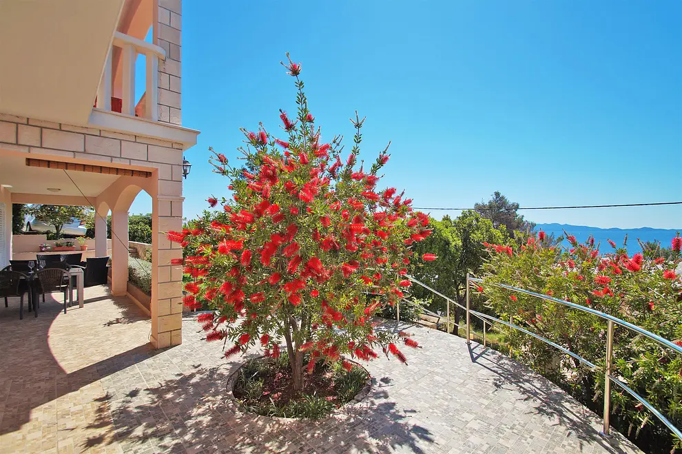 Ferienwohnung in Blato mit Pool 6616061 1336