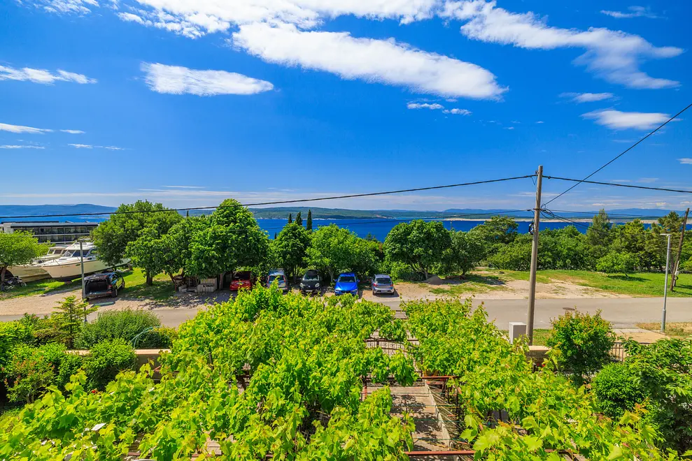 Ferienwohnung in Crikvenica haustiergeeignet 999202924 31191 – Foto 19