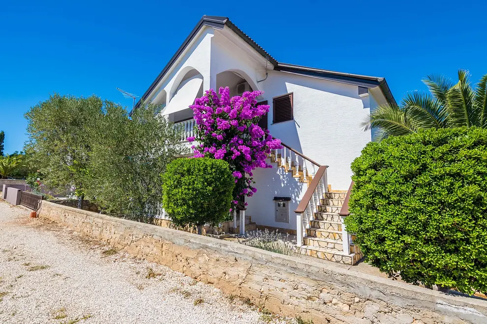 Ferienwohnung in Vir  66115591 5466