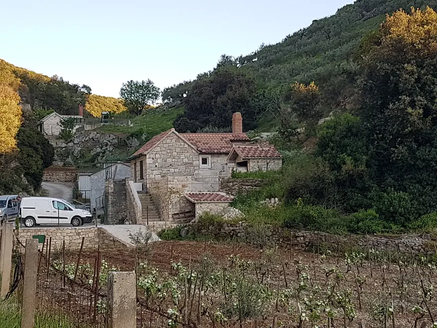 Ferienwohnung in Brac haustiergeeignet 999210858 38692 – Foto 36