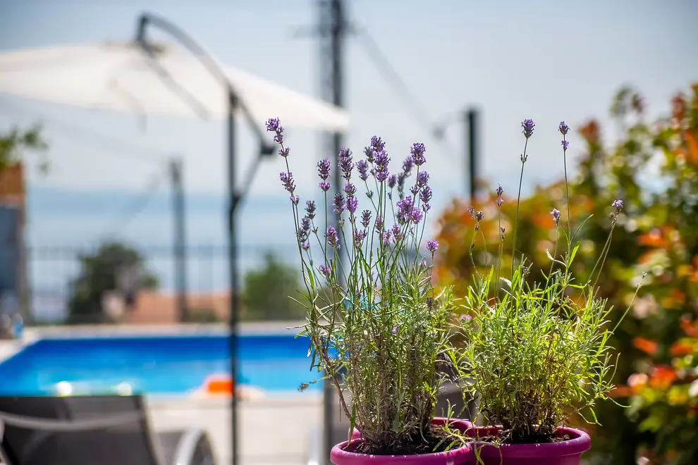 Ferienhaus in Bakar mit Pool 999207288 35350 – Foto 7
