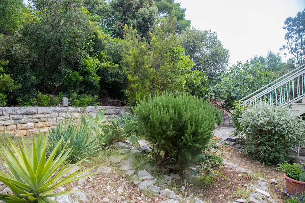 Ferienwohnung in Blato  999203277 31533 – Foto 28