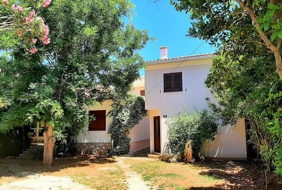 Ferienwohnung in Novalja haustiergeeignet 999208264 36241 – Foto 15