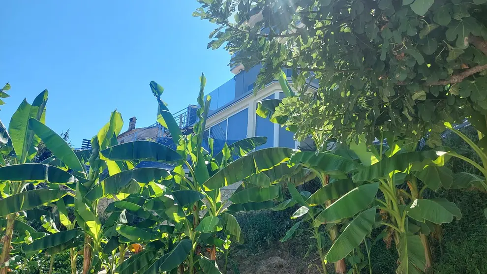 Ferienwohnung in Matulji mit Pool 999207824 35837 – Foto 6