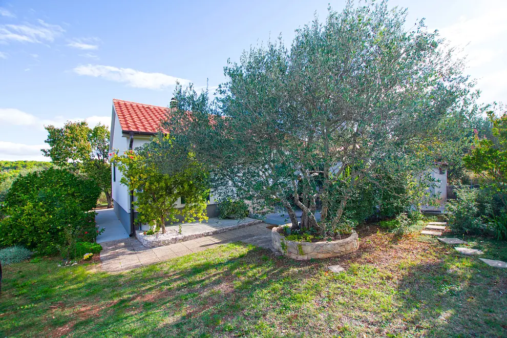 Ferienwohnung in Pasman  999206463 34564 – Foto 5