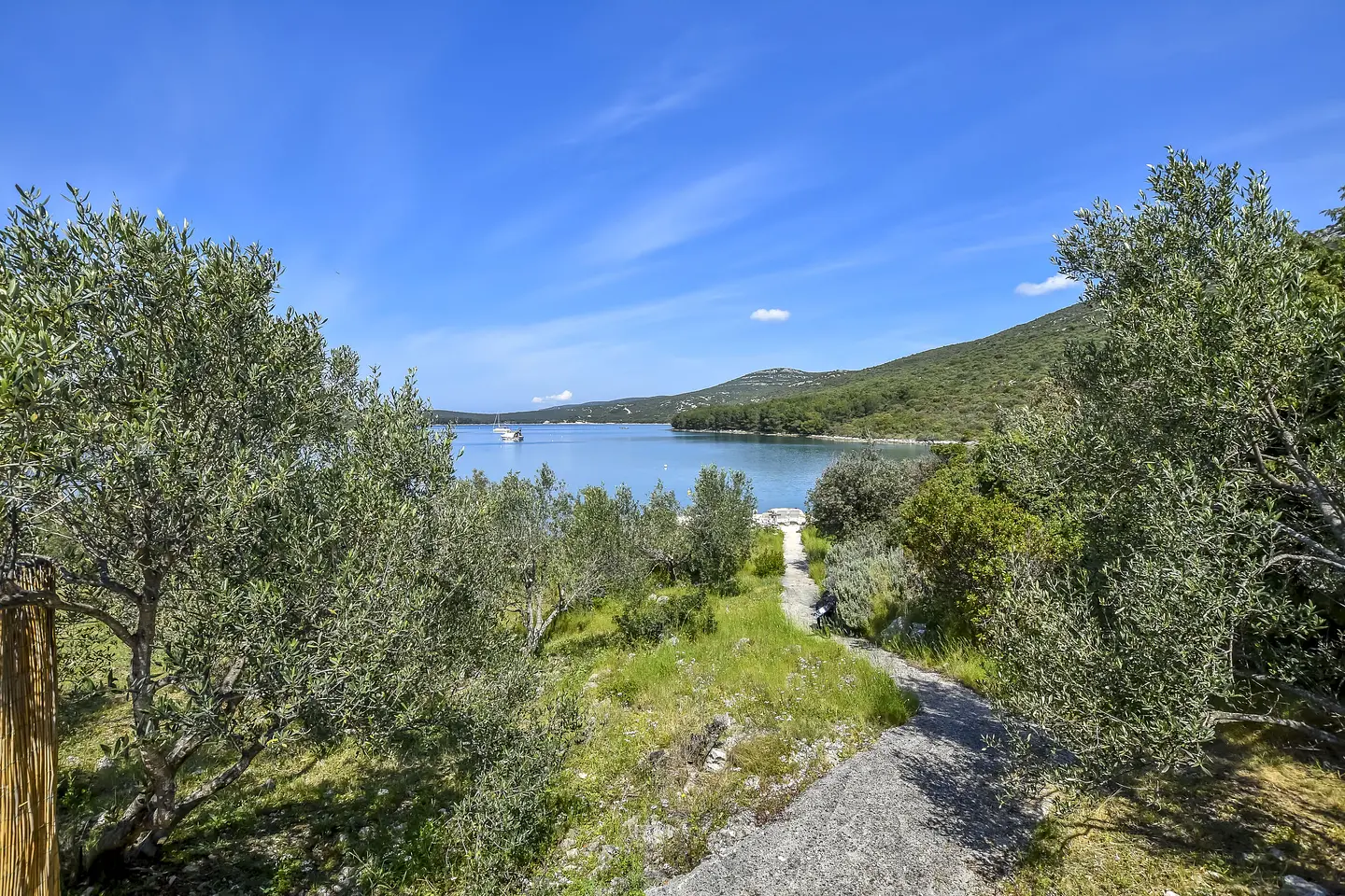 Ferienwohnung in Pasman haustiergeeignet 999203072 31331