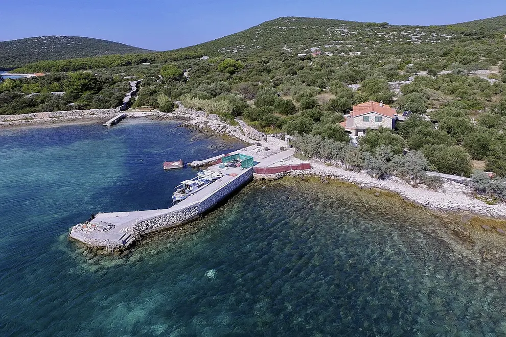 Ferienwohnung in Pasman haustiergeeignet 66118579 6999