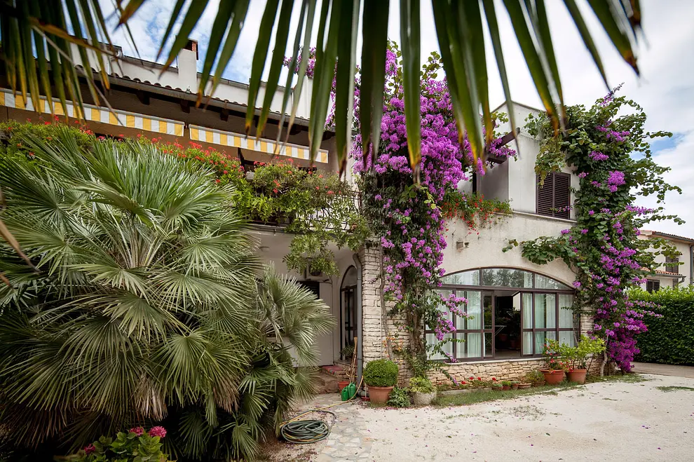 Ferienwohnung in Rovinj  999209154 37084 – Foto 3