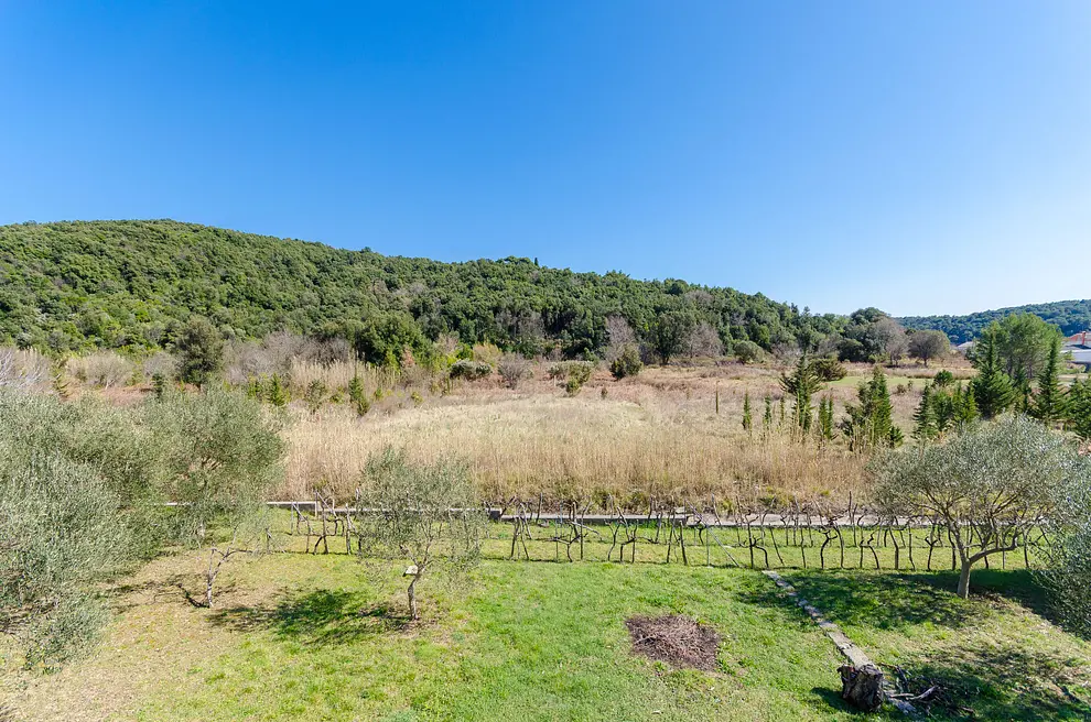 Ferienwohnung in Kampor haustiergeeignet 999204920 33095