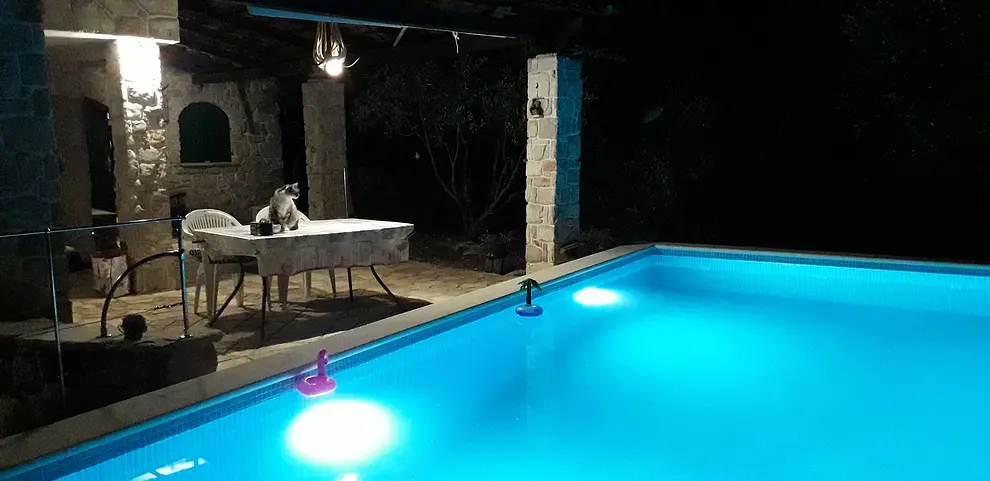 Ferienwohnung in Drvenik Veliki Island mit Pool 999211149 38963 – Foto 22