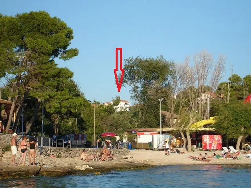 Ferienwohnung in Murter haustiergeeignet 66121987 9698