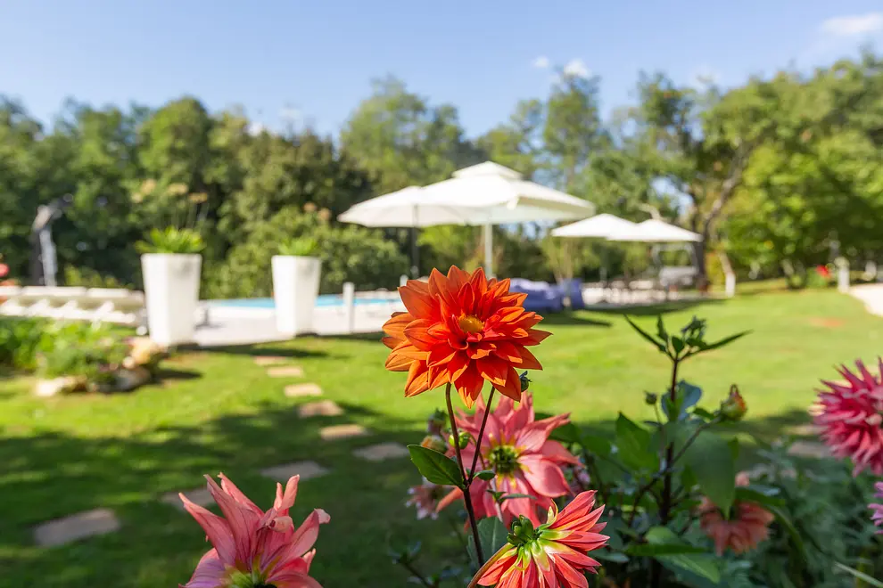 Ferienwohnung in Pican mit Pool 999219029 41524 – Foto 22