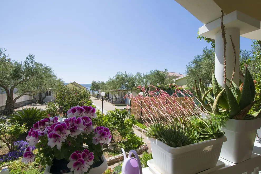 Ferienwohnung in Biograd haustiergeeignet 999209864 37763