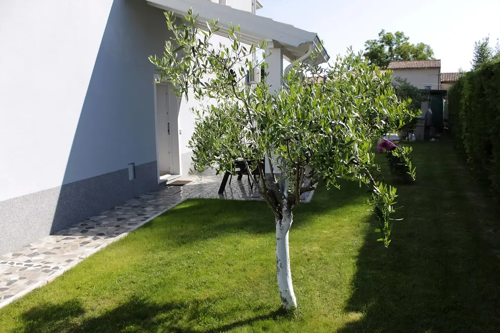 Ferienhaus in Buje mit Pool 999212121 41330 – Foto 8