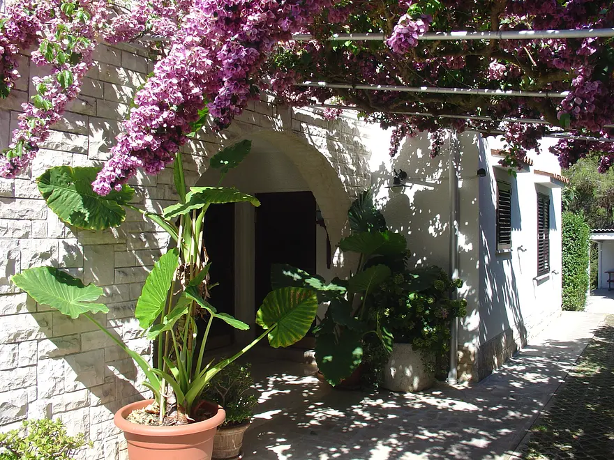 Ferienwohnung in Losinj  999203877 32103 – Foto 10