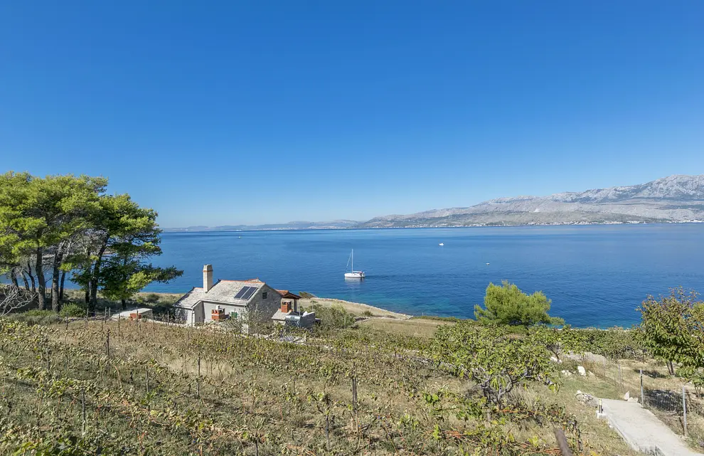Ferienwohnung in Brac haustiergeeignet 999202862 31135 – Foto 25
