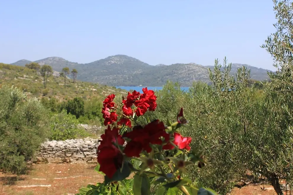 Ferienwohnung in Dugi Otok  999211377 39153 – Foto 7