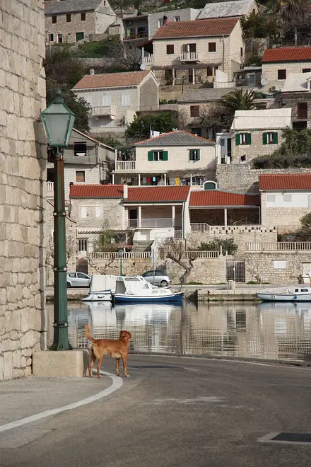 Ferienwohnung in Brac  999206179 34295 – Foto 37