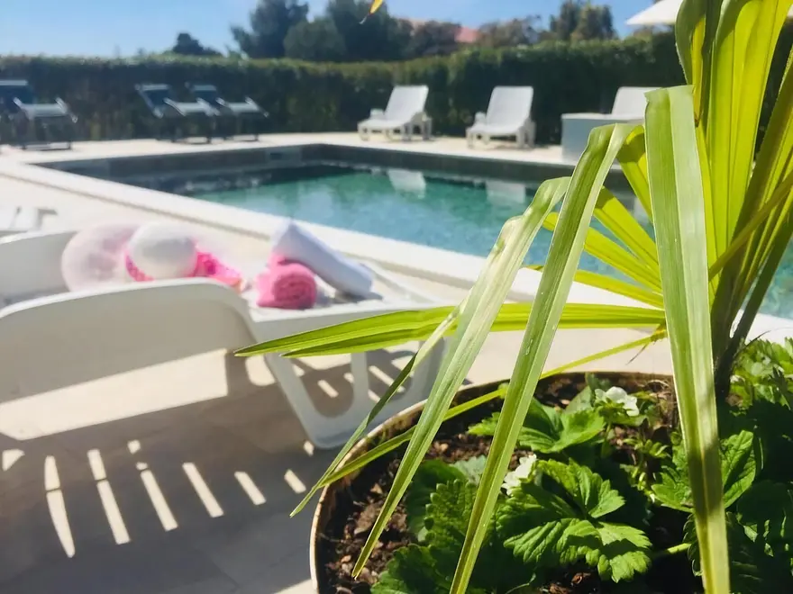 Ferienwohnung in Bibinje mit Pool 999213043 40583 – Foto 8