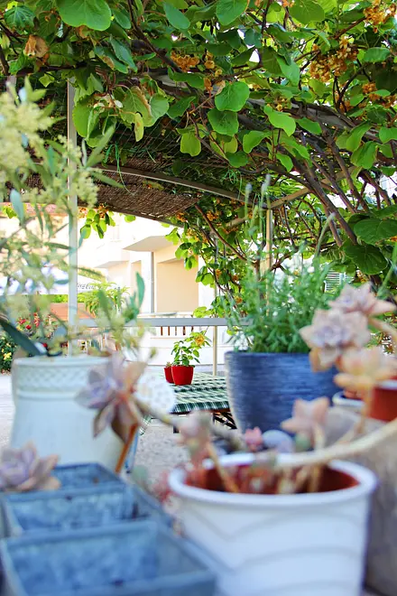 Ferienwohnung in Trogir  999238670 43175 – Foto 20