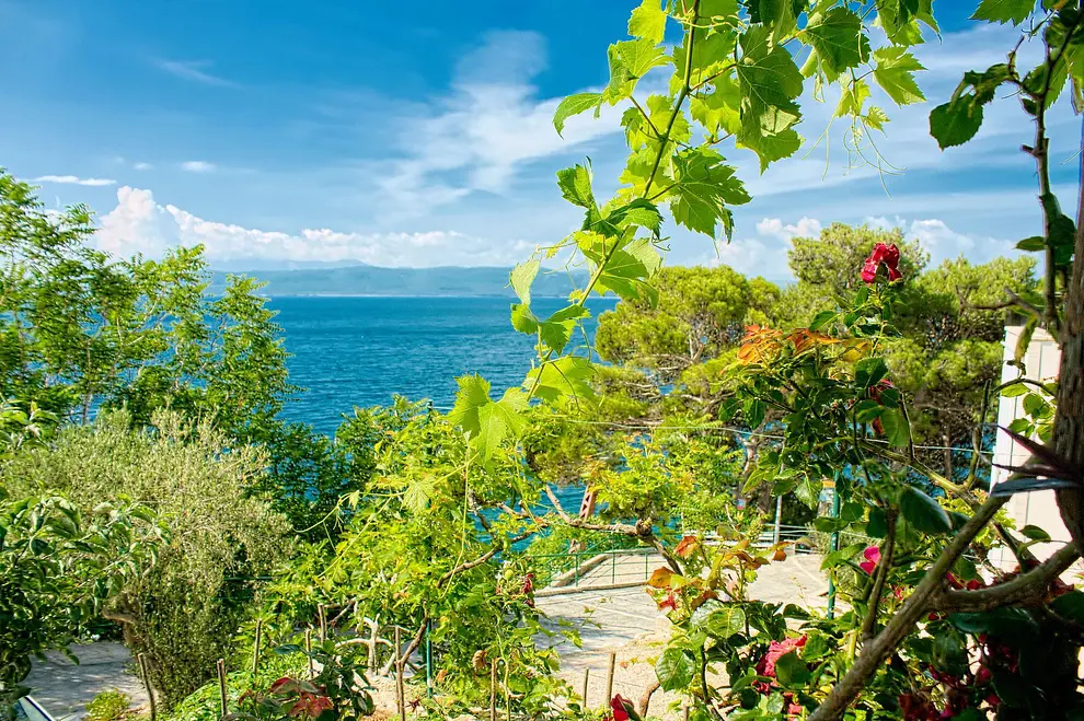 Ferienwohnung in Makarska  66151779 25820