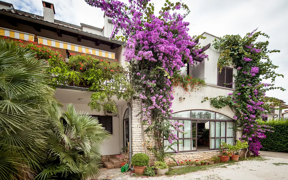 Ferienwohnung in Rovinj  999209152 37082