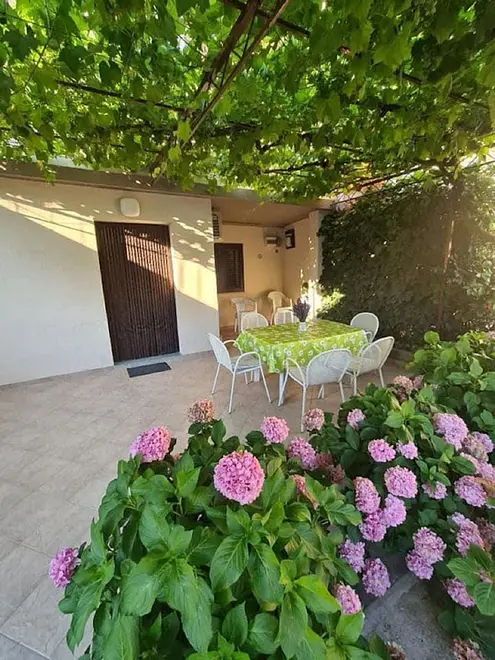Ferienwohnung in Sukosan haustiergeeignet 999210674 38517