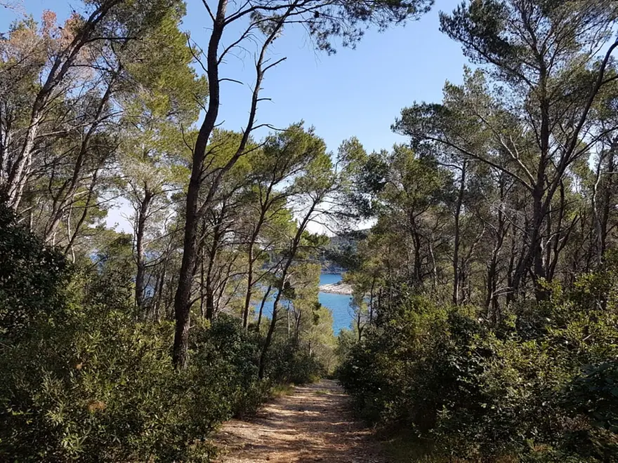 Ferienwohnung in Korcula  999208253 36230 – Foto 21