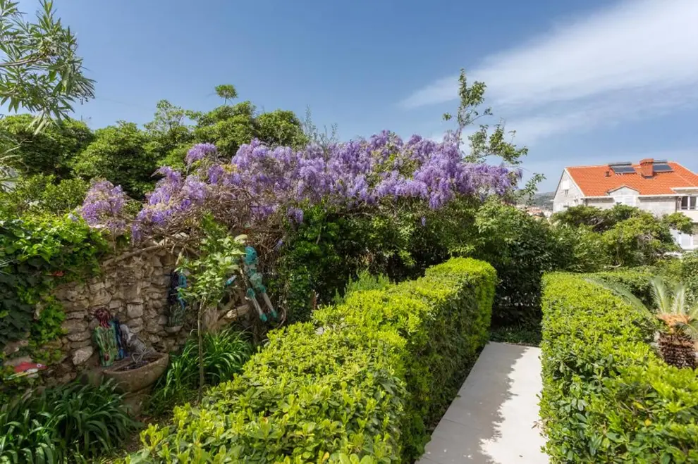 Ferienwohnung in Dubrovnik  999207294 35356 – Foto 35