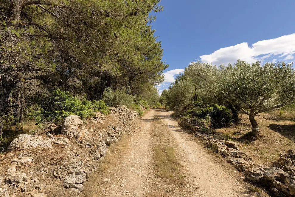 Ferienhaus in Brac mit Pool 999208061 36039 – Foto 16