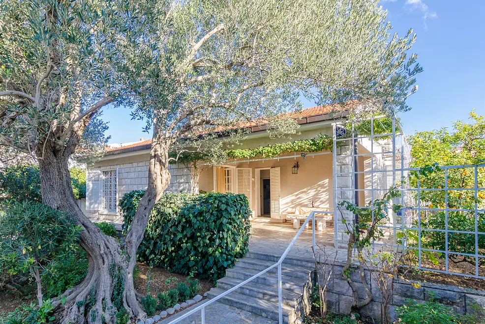 Ferienwohnung in Orebic haustiergeeignet 66120619 8565